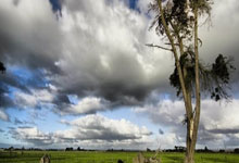 完美体育官网：[NBA]比永博篮下接球 一打二转身勾手命中.