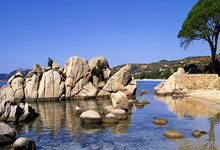 在法兰西大球场直接任意球破门，奥利塞是法国队史第三人.